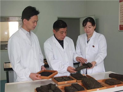 傳承茯茶非遺技藝、開(kāi)拓創(chuàng)新引領(lǐng)行業(yè)發(fā)展