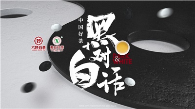 首屆黑白對(duì)話高峰論壇圓滿落幕！湘益茯茶備受關(guān)注！